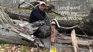 Traditional Bow Hunt, Gettin Stickbow Close, Longbeard with my Black Widow Recurve