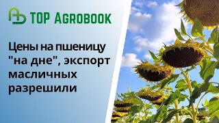 Цены на пшеницу "на дне", масличным разрешили экспорт. TOP Agrobook: обзор аграрных новостей