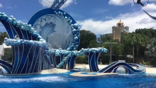 Sea World Blue Horizons Dolphin Full Show (HD)  - Orlando (Florida)