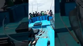 IKAN TUNA... Nelayan Bakti Kab Flores Timur