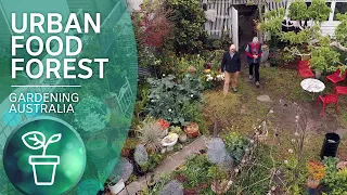 Over 50 fruit trees in an eclectic edible garden | Urban farming | Gardening Australia