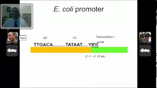 Prokaryotic Transcription and Promoters