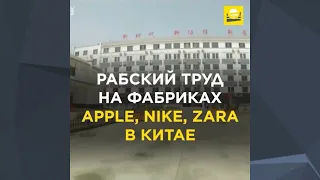 Рабский труд на фабриках Apple, Nike, Zara в Китае: | 0+