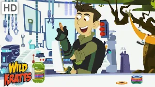 Let's Find an Ocelot | Wild Kratts