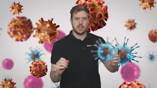 What's the Difference Between Viruses and Malware?
