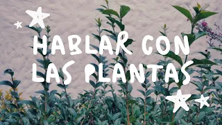 HABLAR CON LAS PLANTAS 🌿 | ¿Funciona? ¿Mito o realidad? | El caso Burbank