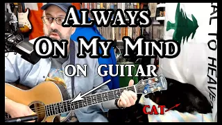 Always on my Mind on Guitar (with my cat)