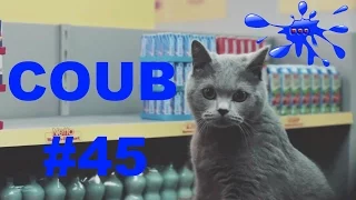 COUB лучшее Приколы Выпуск #45