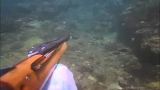 Dive Hawaii Spearfishing "2010 Compilation"