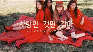 About Love : Red Velvet #kpop #カナルビ #日本語字幕  #redvelvet #레드벨벳
