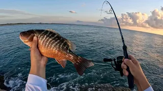 EASY way to Catch THESE Fish at the Jetty! (Corpus Christi, Tx)