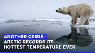 Arctic Records Its Hottest Temperature Ever