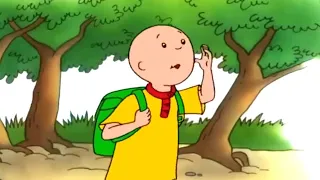 Caillou Gets Lost | Caillou | Cartoons for Kids | WildBrain Kids