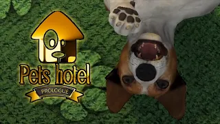 ЛУЧШИЙ ОТЕЛЬ ДЛЯ ЖИВОТНЫХ #1 Pets Hotel