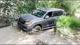 LX570, GX460, GX470, Xterra take on Peters Mill Run off-road