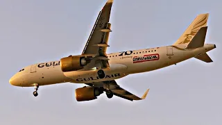 gulfair airplane landing and takeoff