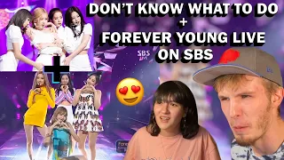 BLACKPINK - DON'T KNOW WHAT TO DO + FOREVER YOUNG LIVE ON SBS (COUPLE REACTION + SELENA GOMEZ CONVO)