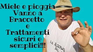 Miele e pioggia vanno a braccetto,trattamenti chi e quando e PERCHE' ? tu puoi FARLO? e dove FARLO?