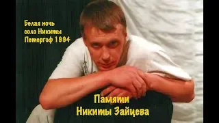 Никита Зайцев Белая ночь соло ДДТ Петергоф 1994