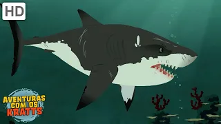 Criaturas de água | Tubarões, crocodilos + mais! [episódios completos] Aventuras com os Kratts