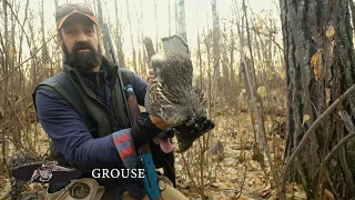 Manitoba Ruff Grouse Hunting - Waterfowl Hunting Experiences