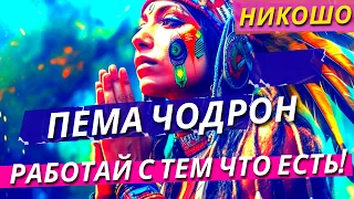 Пема Чодрон: Работай С Тем Что Есть! Руководство По Сострадательной Жизни! Полная Аудиокнига Nikosho