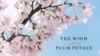 The Wind and the Plum Petals - Beautiful Piano Song for Spring ✿｜BigRicePiano