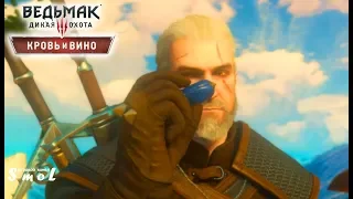 ВОЛШЕБНЫЕ БОБЫ ► ВЕДЬМАК 3: КРОВЬ И ВИНО (прохождение) #11 | Play_Smol