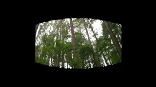 THE BEST BIGFOOT VIDEO EVER ! in VR, 3D, 4K.