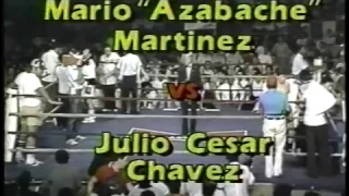 Julio Cesar Chavez Sr. vs Mario Martinez (read description)