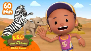 1 HOUR of LEO and FRIENDS!! 🦓🔥 | Leo the Wildlife Ranger | Cartoons for Kids | #compilation