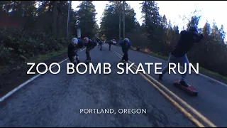 Zoo Bomb Skate Run