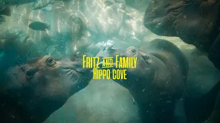 Fritz The Hippo's Magical Cove