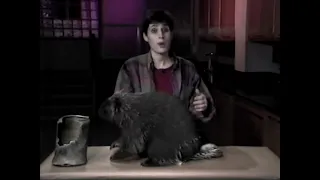 WFXT-TV 25/Fox Kids Club promo, December 1994 - "Big Science (Porcupines)"