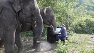 "And The Waltz Goes On" by Anthony Hopkins on Piano For Elephants