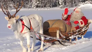 Babbo Natale Lapponia 🎅🦌 il meglio delle cavalcate sulle renne Santa Claus Finlandia per i bambini