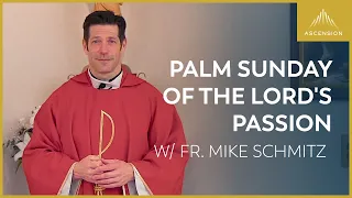 Palm Sunday of the Lord's Passion - Mass with Fr. Mike Schmitz