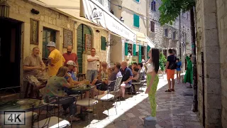 A Summer's Day in Kotor, Montenegro 🇲🇪 Walking Tour [4K]