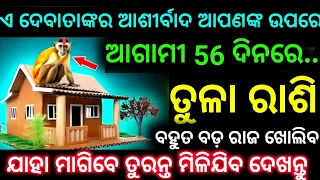 ତୁଳା ରାଶି 56ଦିନରେ ଏ ଦେବତାଙ୍କର ଆଶୀର୍ବାଦ ଆପଣଙ୍କ ଉପରେ ରହିବ ବହୁତ ବଡ଼ ରାଜରୁ ପରଦା ଖୋଲିବ ଦେଖନ୍ତୁ