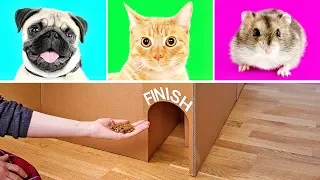 3 Cool Cardboard Crafts That Will Knock Your Socks Off