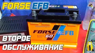FORSE EFB - ВТОРОЕ ОБСЛУЖИВАНИЕ (Весна 2021)