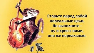 О нас - девочках с юмором и позитивом 🧚