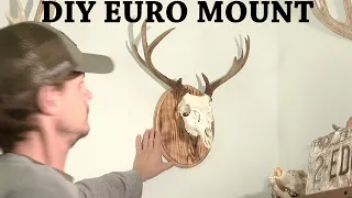 How to make a European mount in a day