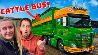 FIRST DAY Doing LIVESTOCK Haulage | It’s NOT For Me!! | #truckertim