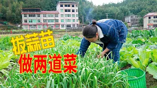 又到煮菜的時間，媳婦有點為難，最後用蒜苗炒兩道菜 | Make two dishes with garlic scapes! My son said it was delicious!