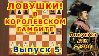 Королевский гамбит 5 ♔ Шахматы и Шахматные Ловушки в дебюте ♕ Жадность!