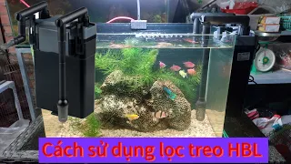 Cách sử dụng lọc treo Sunsun HBL 801-802-803 cho bể cá