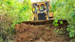 Smooth and Neat D6R XL Bulldozer Working Old Road Service on the Plantation