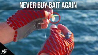 TOP Three Ways to Catch BAIT From a Fishing Pier!