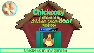 How does the Chickcozy automatic door stack up?   - a thorough review in practice with real chickens